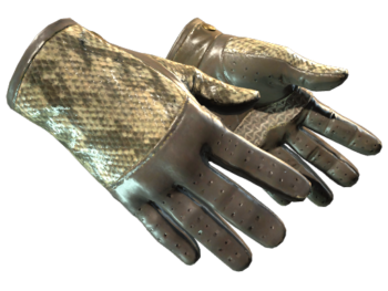 23 1.png