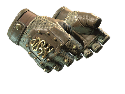 ★ Hydra Gloves | Mangrove (Battle-Scarred)