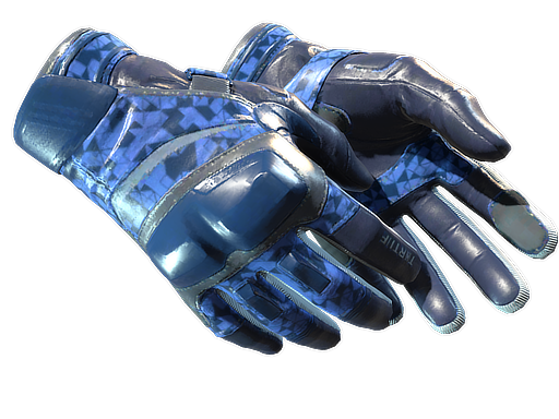 ★ Moto Gloves | Polygon (Field-Tested)