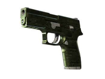 Picture1 31 1 1.png