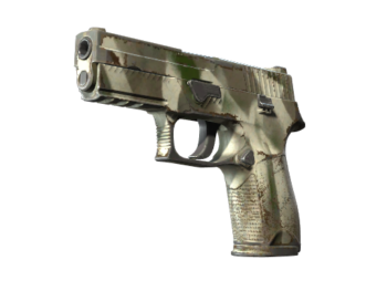 Picture1 9 1 1 1.png